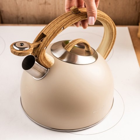 CZAJNIK STALOWY Z GWIZDKIEM 2,5L KLAUSBERG KB-7913