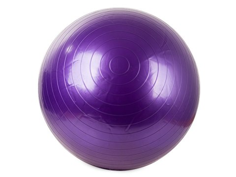 Piłka gimnastyczna + pompka 65cm rehabilitacyjna