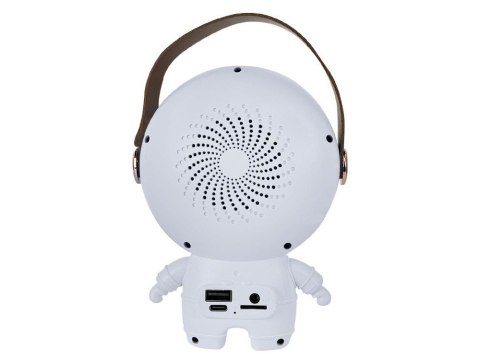 Bezprzewodowy przenośny zestaw do karaoke głośnik bluetooth + 2x mikrofon