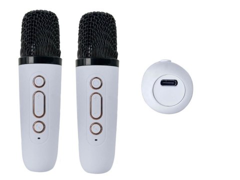 Bezprzewodowy przenośny zestaw do karaoke głośnik bluetooth + 2x mikrofon