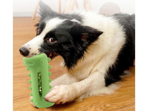 Gryzak dla psa czyszczenie zębów dentystyczny zabawka dla psa na smaczki