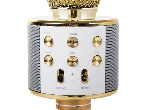 Mikrofon bezprzewodowy bluetooth głośnik karaoke okrągły z etui różne tryby