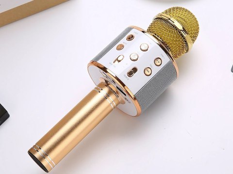 Mikrofon bezprzewodowy bluetooth głośnik karaoke okrągły z etui różne tryby
