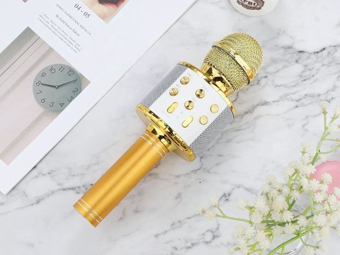 Mikrofon bezprzewodowy bluetooth głośnik karaoke okrągły z etui różne tryby