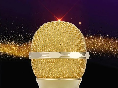 Mikrofon bezprzewodowy bluetooth głośnik karaoke okrągły z etui różne tryby