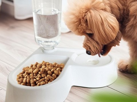 Podwójna miska 2w1 na karmię i wodę z zbiornikiem 500 ml dla psa kota