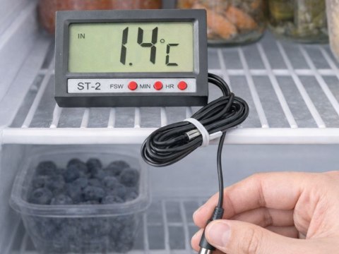 Termometr cyfrowy z sondą do akwarium lodówki terrarium wody przewód 100cm