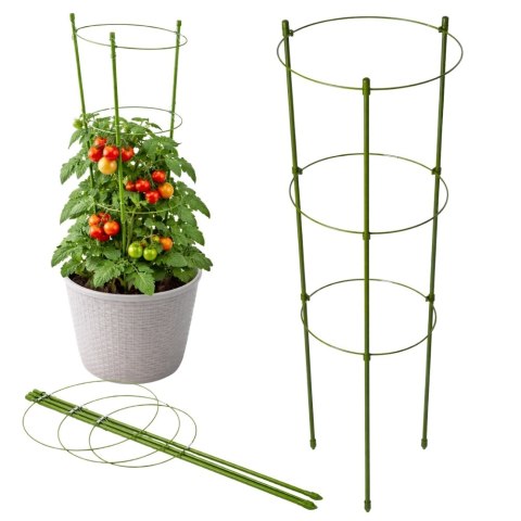 Podpora pierścieniowa do roślin 60cm obręcz do kwiatów 3 pierścienie DIVODV