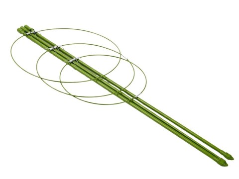 Podpora pierścieniowa do roślin 60cm obręcz do kwiatów 3 pierścienie DIVODV