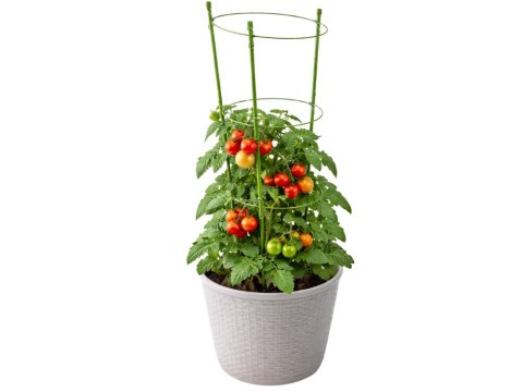 Podpora pierścieniowa do roślin 90cm obręcz do kwiatów 3 pierścienie DIVODV