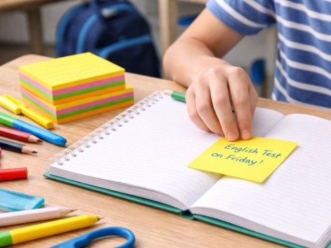 Karteczki samoprzylepne liniowane 100 kartek notes samoprzylepny sticky