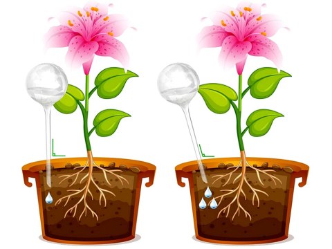Nawadniacz do doniczek kwiatów roślin system nawadniający 8 x dozownik