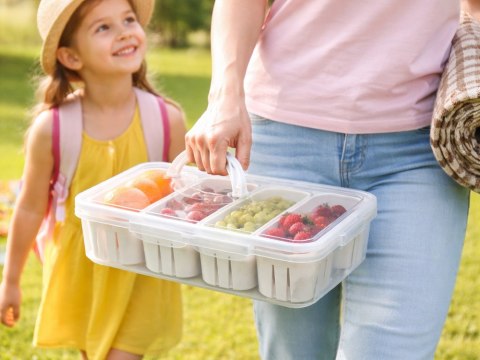 Pojemnik box pudełko z przegródkami na żywność z pokrywką ociekacz owoce